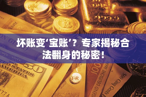 济南坏账变‘宝账’？专家揭秘合法翻身的秘密！