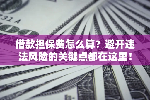济南借款担保费怎么算？避开违法风险的关键点都在这里！