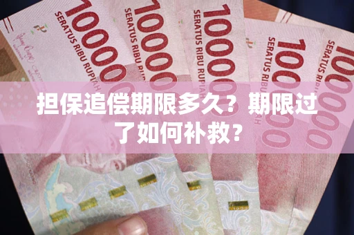 济南担保追偿期限多久？期限过了如何补救？